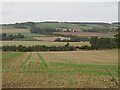 NT7856 : Scottish Borders fieldscape by M J Richardson