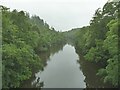 SX4372 : The Tamar downstream from New Bridge by Stephen Craven