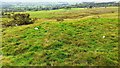 SE0592 : View of moorland east of Barney Beck by Roger Templeman