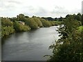 SE4843 : River Wharfe at Tadcaster by Alan Murray-Rust