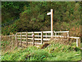 TA2169 : Footbridge over Danes Dyke by David Dixon