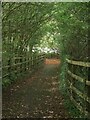 SS8281 : Heol-y-Sheet public footpath, North Cornelly (4)  On the roundabout at M4 Junction 37 by eswales