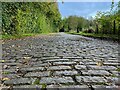 SJ8193 : Cobbled track beside Treasure Wood by Graham Hogg