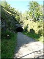 SK1772 : Eastern portal of Cressbrook Tunnel, Monsal Trail by David Smith