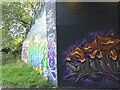 SE3118 : Horbury Underpass of Graffiti by Phillip De-Vere