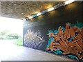 SE3118 : Horbury Underpass of Graffiti by Phillip De-Vere