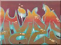 SE3118 : Horbury Underpass of Graffiti by Phillip De-Vere