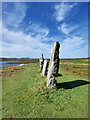 NB2133 : Standing Stones at Callanish by David Dixon