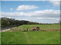 NY3756 : The Cumbria Coastal Way near Stainton by Adrian Taylor