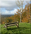 SP8810 : Chiltern Edge View by Des Blenkinsopp