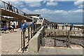 SX9676 : New seafront spaces, Dawlish by Robin Stott