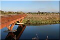 TL4166 : Bridge in Northstowe by Hugh Venables