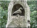 SJ9090 : Pigeon carving close-up by Gerald England