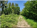 SO5190 : The Jack Mytton Way at Wenlock Edge by Mat Fascione