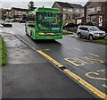 ST3090 : Z29, Rowan Way, Malpas, Newport by Jaggery