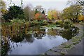 SO7875 : Queen Elizabeth II Jubilee Gardens -  Ornamental fishpond in November, Bewdley, Worcs by P L Chadwick