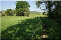 SJ9686 : Footpath towards Ridge Fold by Bill Boaden