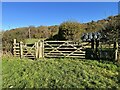 SD3199 : Gates near High Yewdale by Adrian Taylor