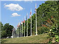 TQ0683 : Flagpoles on parade by Neil Owen