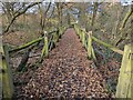 SJ5117 : Path boardwalk at Battlefield by TCExplorer