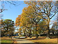 SZ0391 : Autumn colour on Ashley Cross Green, Lower Parkstone by Malc McDonald