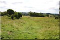 NZ0071 : Bridleway/Public Footpath to Great Whittington by Jeff Buck