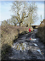 NZ1925 : Avoiding potholes and ice on Burnshouse Lane by Trevor Littlewood