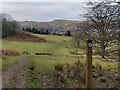 SO4692 : Jack Mytton Way towards Church Stretton by Mat Fascione