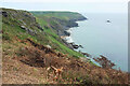 SX6838 : Coastline at Bolberry Down by Derek Harper