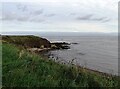 NZ4161 : Low cliffs at Whitburn by Robert Graham