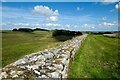 NY7868 : The North Curtain Wall at Housesteads by Jeff Buck