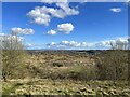 SJ8147 : Silverdale Country Park by Jonathan Hutchins