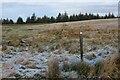 SE0251 : Footpath heading north towards Back Plantation by Chris Heaton