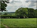 SO4585 : Hope Dale near Wenlock Edge by Mat Fascione