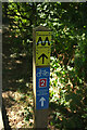 SX8061 : Waymark post by the Dart by Derek Harper