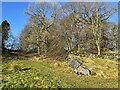 SD4080 : Footpath near Well Field Wood by Adrian Taylor