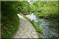 SK1452 : Paved path in Dove Dale by Philip Halling