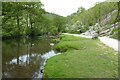 SK1451 : The River Dove in Dovedale by Philip Halling