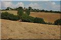 SX9268 : Drought fields north of Maidencombe by Derek Harper