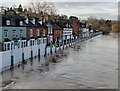 SO7875 : Flood defences along Severn Side North, Bewdley by Mat Fascione