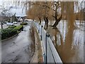 SO7875 : Flood barriers along the River Severn, Bewdley by Mat Fascione