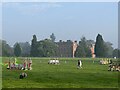 SJ8606 : Misty morning at Chillington Hall by Jonathan Hutchins