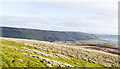 NZ0100 : Rounded grassy slope on Calver Hill by Trevor Littlewood