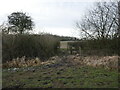 SK6551 : Bridge over a dumble near Oxton by Jonathan Thacker