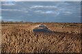 TL3772 : Outer canal, Ouse Fen by Hugh Venables