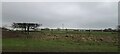 SJ9010 : Looking south off the A5, approaching Gailey from the west by Christopher Hilton