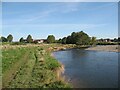 NY3954 : The Cumbria Way beside the River Caldew by Adrian Taylor