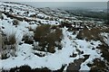 SE0055 : Moorland path, east of Embsay Crag by Christine Johnstone