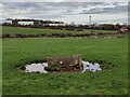 SK5401 : Cattle trough near Abbey Farm by Mat Fascione