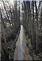 SK5500 : Lubbesthorpe Brook in the Osiers Nature Area by Mat Fascione